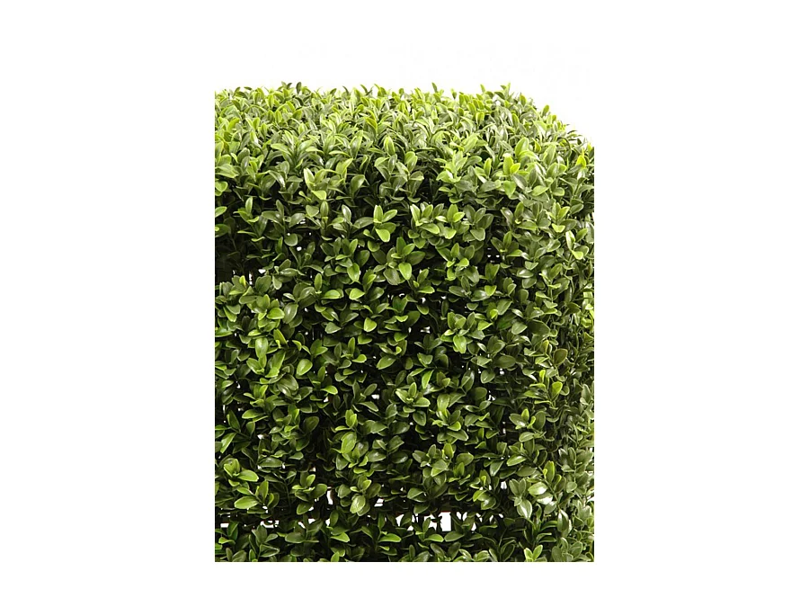 Plante artificielle haute gamme Spécial extérieur, Buis carré artificiel couleur vert - Dim : 50 x 32 x 32 cm