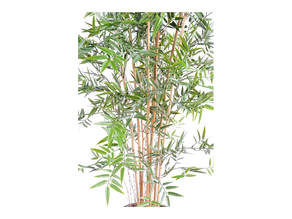 Plante artificielle haute gamme Spécial extérieur en Bambou artificiel, couleur verte - Dim : 120 x 75 cm