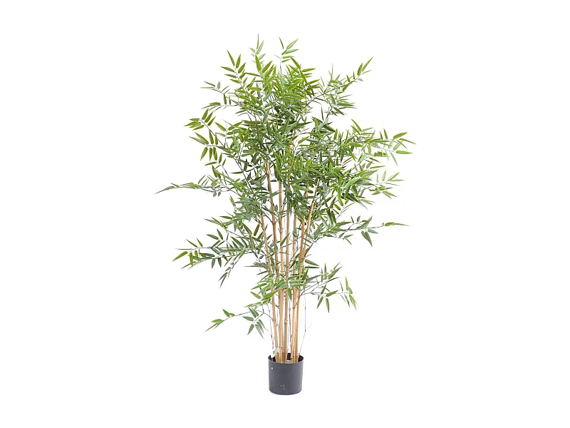 Plante artificielle haute gamme Spécial extérieur en Bambou artificiel, couleur verte - Dim : 120 x 75 cm