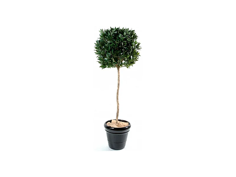 Plante Artificielle / Laurier artificiel Boule - Dim : 150 x 40 cm