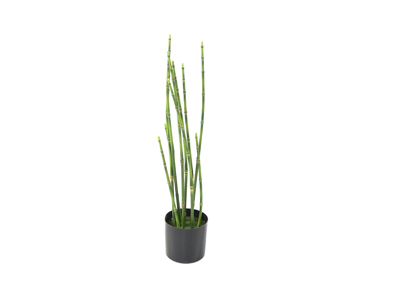 Plante artificielle haute gamme Spécial extérieur / PRESLE artificiel - Dim : 65 x 15 cm