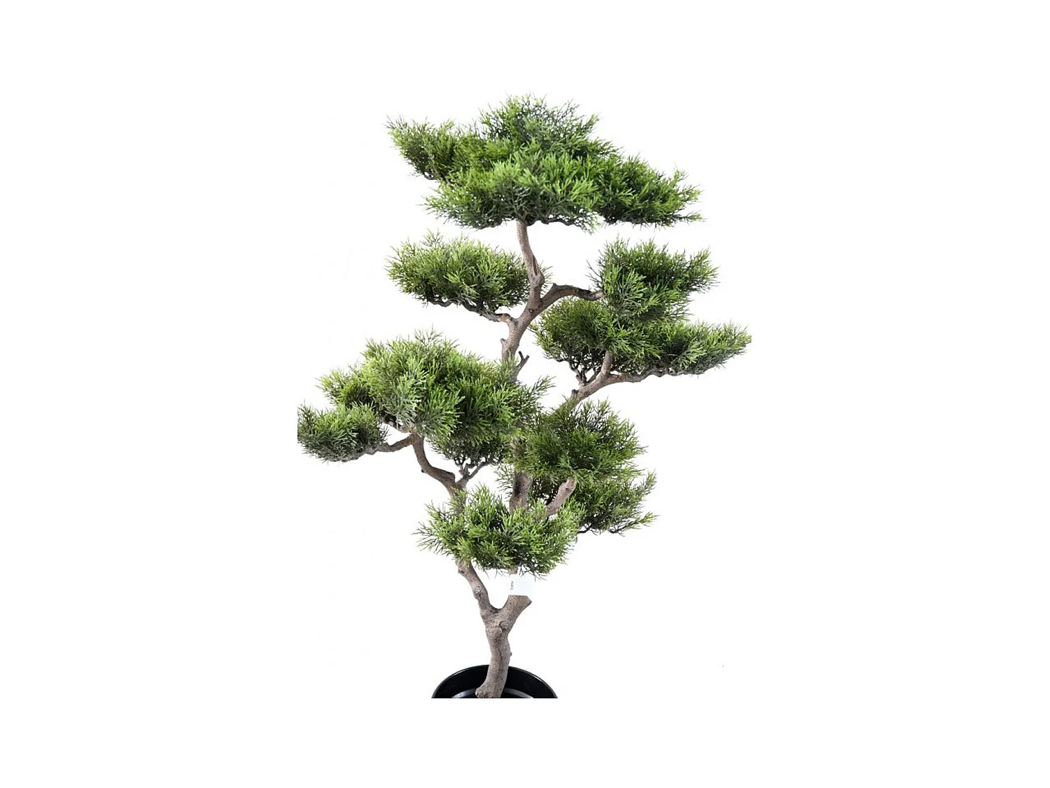 Plante artificielle haute gamme Spécial extérieur / PIN artificiel BONSAI - Dim : 95 x 60 cm