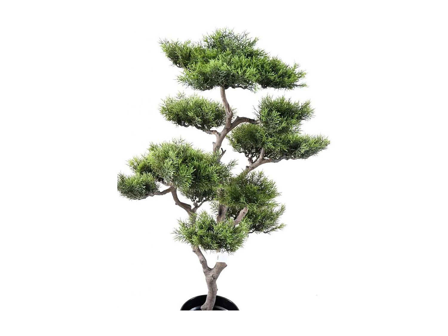 Plante artificielle haute gamme Spécial extérieur / PIN artificiel BONSAI - Dim : 95 x 60 cm