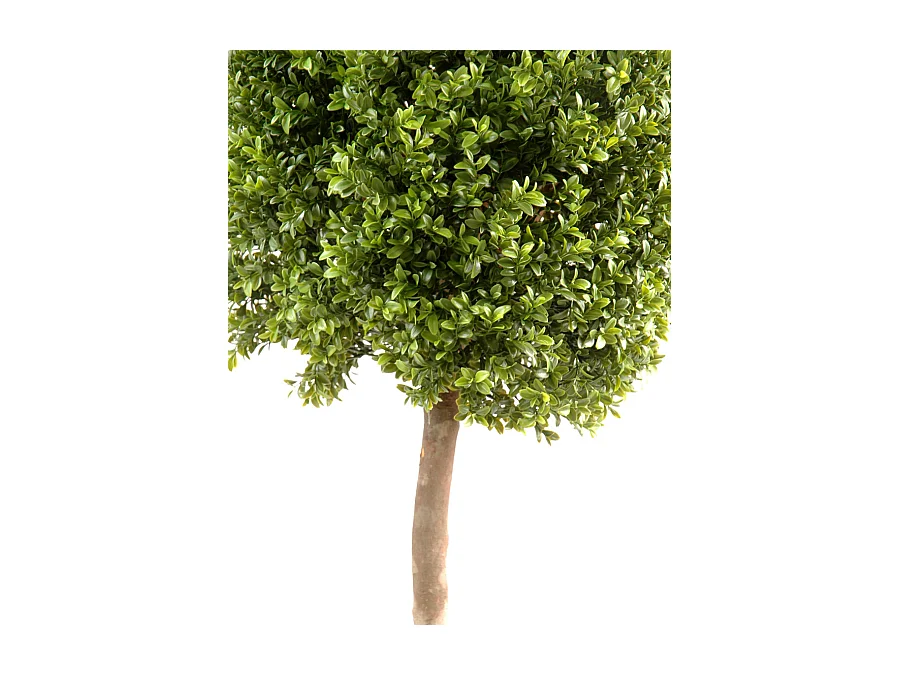 Plante artificielle haute gamme Spécial extérieur / Buis boule coloris vert - Dim : H.140 x D.50 cm