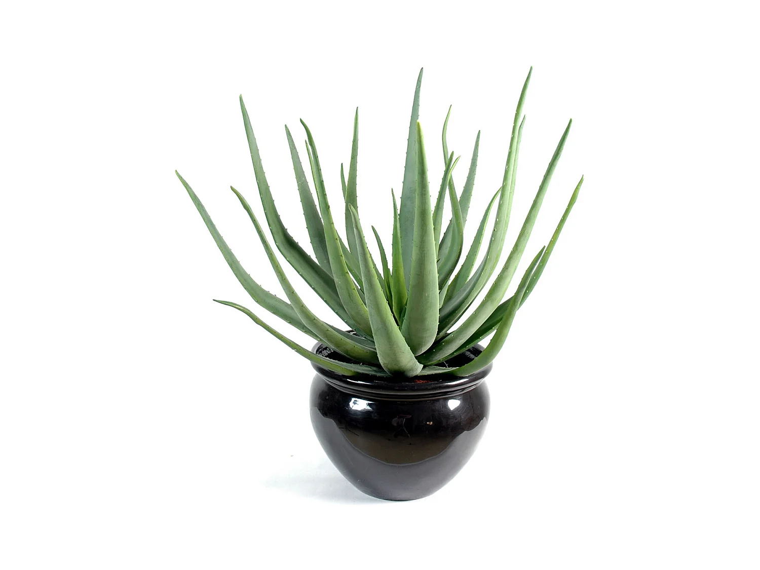 Plante artificielle haute gamme Spécial extérieur / Aloevera artificielle - Dim : 70 x 40 cm