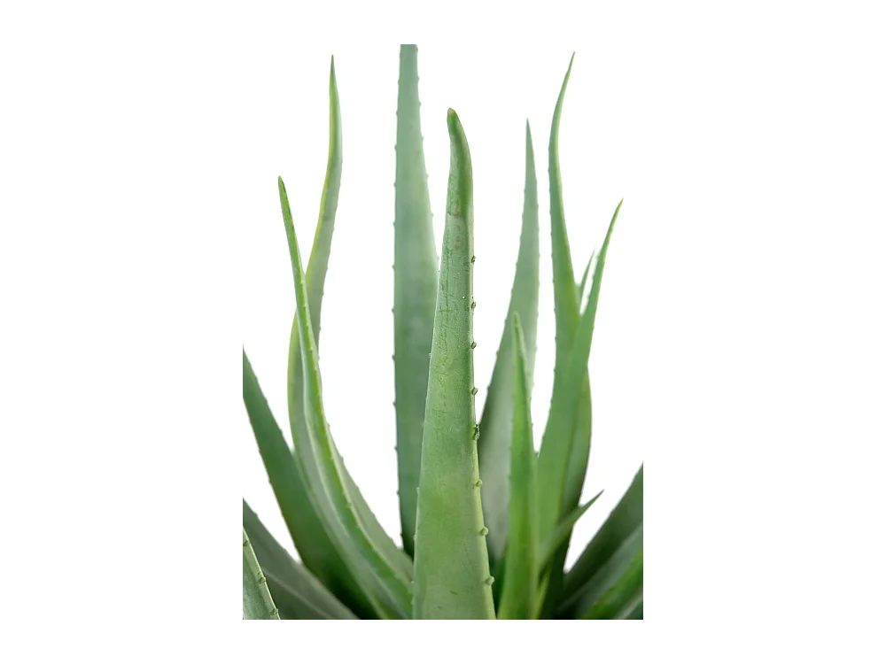 Plante artificielle haute gamme Spécial extérieur / Aloevera artificielle - Dim : 70 x 40 cm