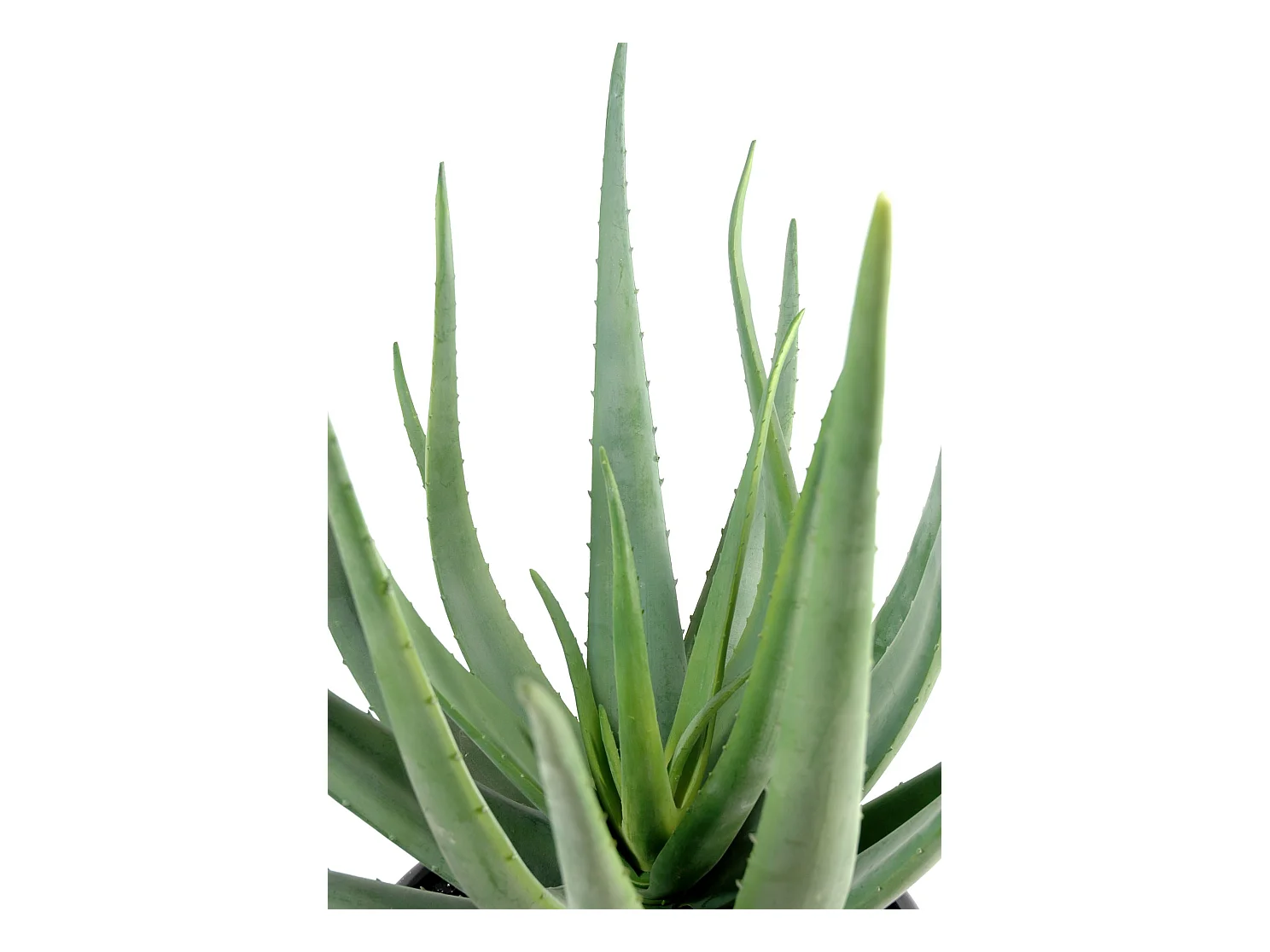 Plante artificielle haute gamme Spécial extérieur / Aloevera artificielle - Dim : 70 x 40 cm