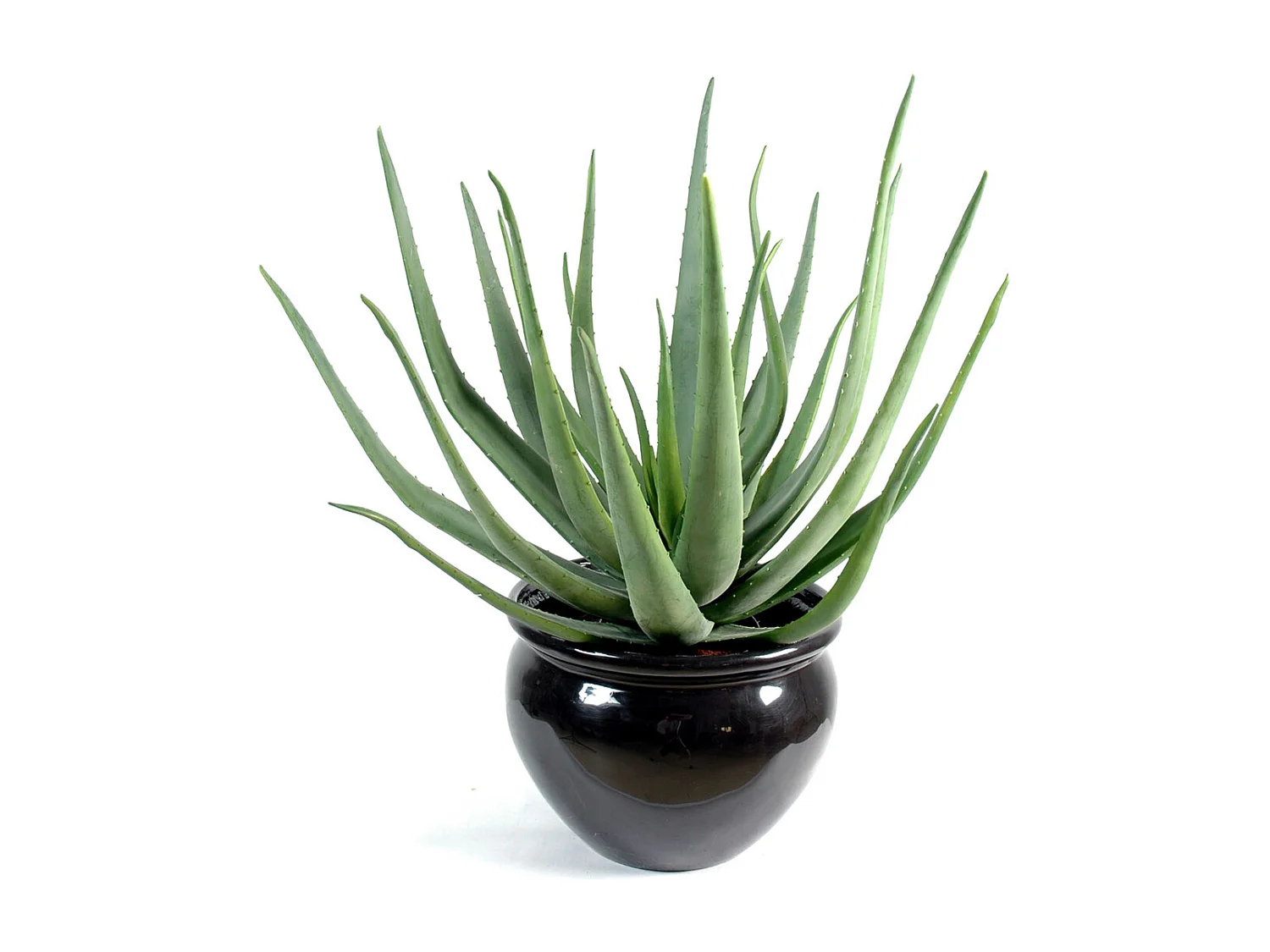 Plante artificielle haute gamme Spécial extérieur / Aloevera artificielle - Dim : 70 x 40 cm