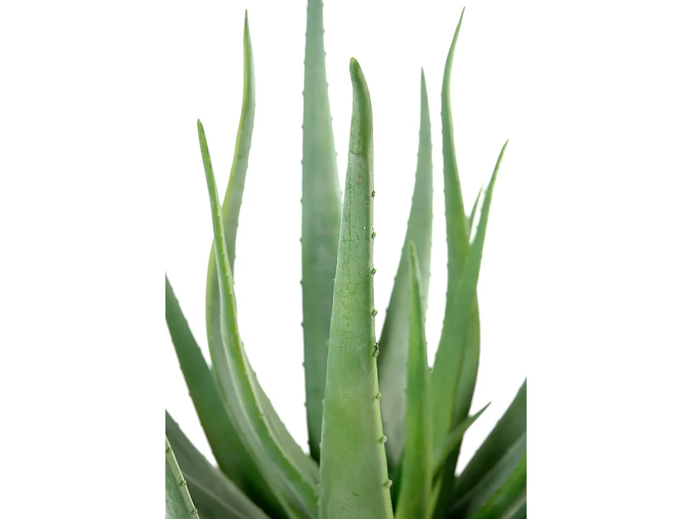 Plante artificielle haute gamme Spécial extérieur / Aloevera artificielle - Dim : 70 x 40 cm