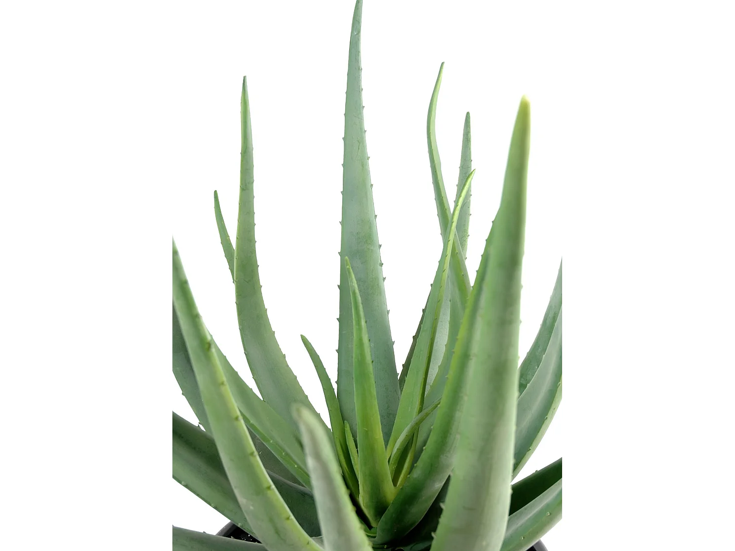 Plante artificielle haute gamme Spécial extérieur / Aloevera artificielle - Dim : 70 x 40 cm