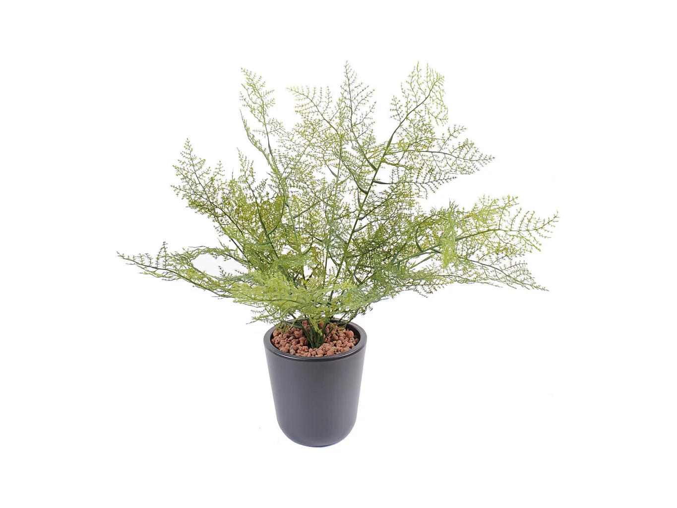 Plante artificielle haute gamme Spécial extérieur / Asparagus artificiel - Hauteur : 50cm