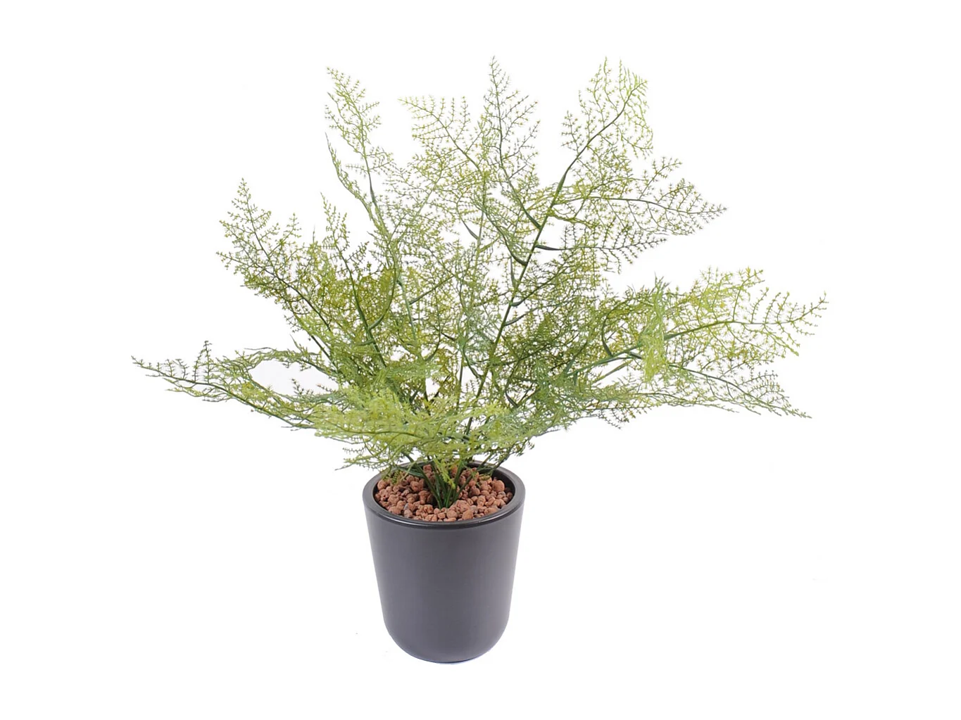 Plante artificielle haute gamme Spécial extérieur / Asparagus artificiel - Hauteur : 50cm