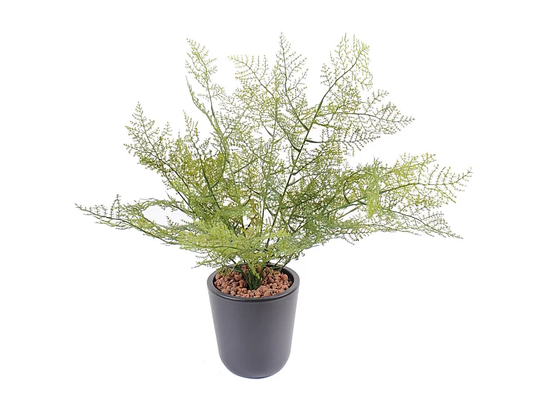 Plante artificielle haute gamme Spécial extérieur / Asparagus artificiel - Hauteur : 50cm
