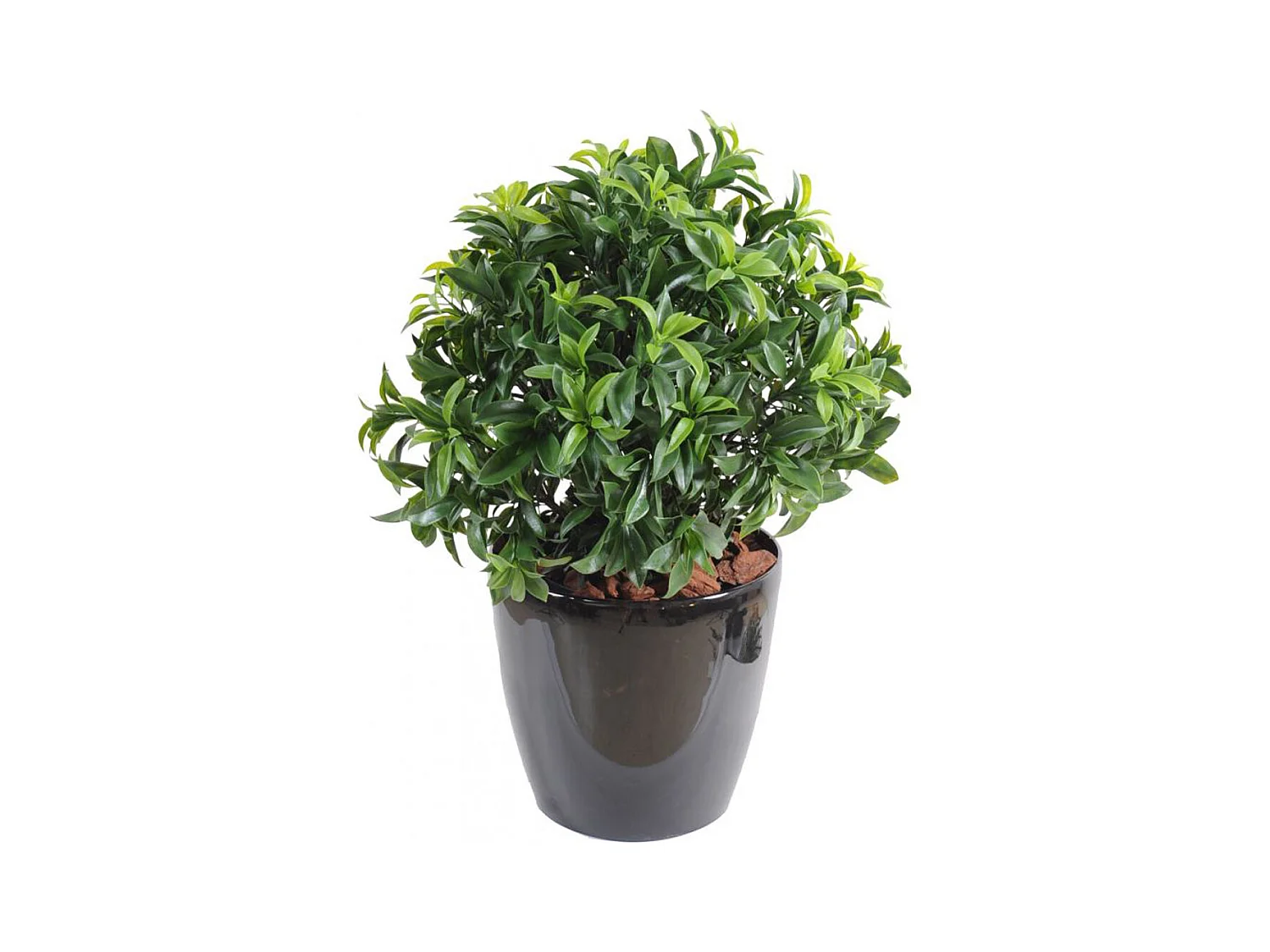 Plante Artificielle / Laurier artificiel Buisson - Dim : 45 x 42 cm