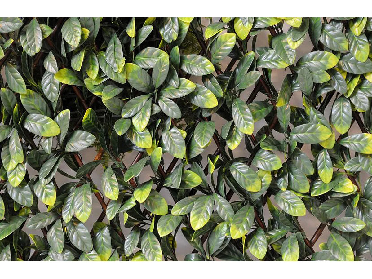 Plante artificielle haute gamme Spécial extérieur / CHARME GF PALISSADE - Dim : 100 x 200 cm