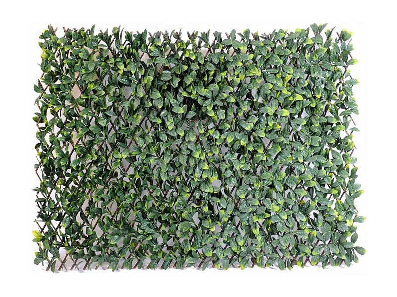 Plante artificielle haute gamme Spécial extérieur / CHARME GF PALISSADE - Dim : 100 x 200 cm