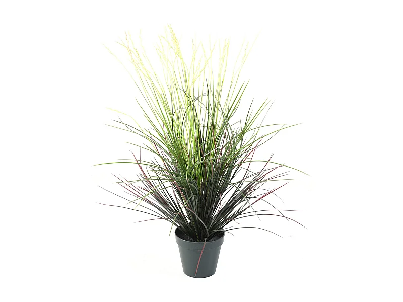 Plante artificielle haute gamme Spécial extérieur / Graminee artificielle - Dim : 80 x 50 cm