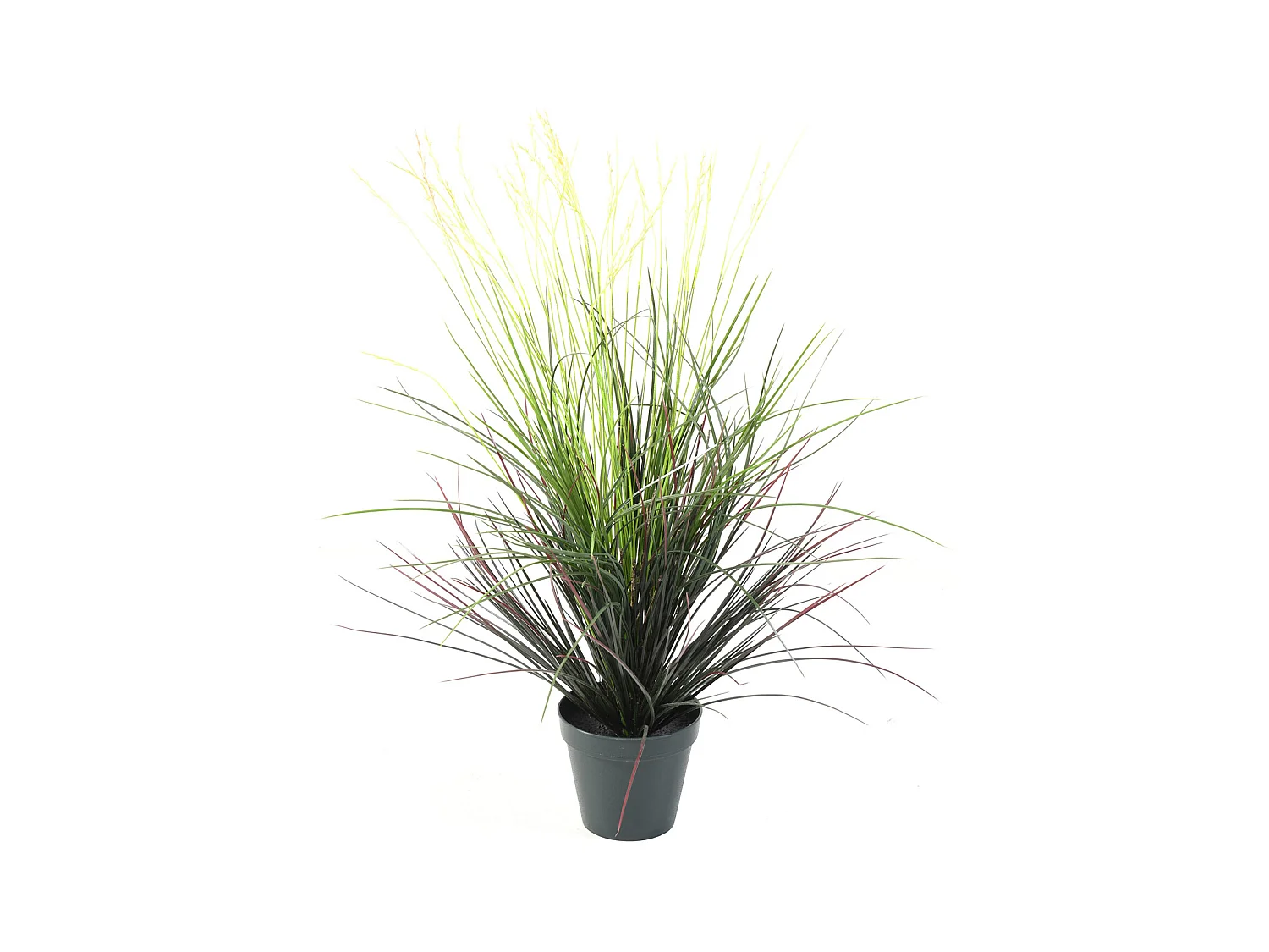 Plante artificielle haute gamme Spécial extérieur / Graminee artificielle - Dim : 80 x 50 cm