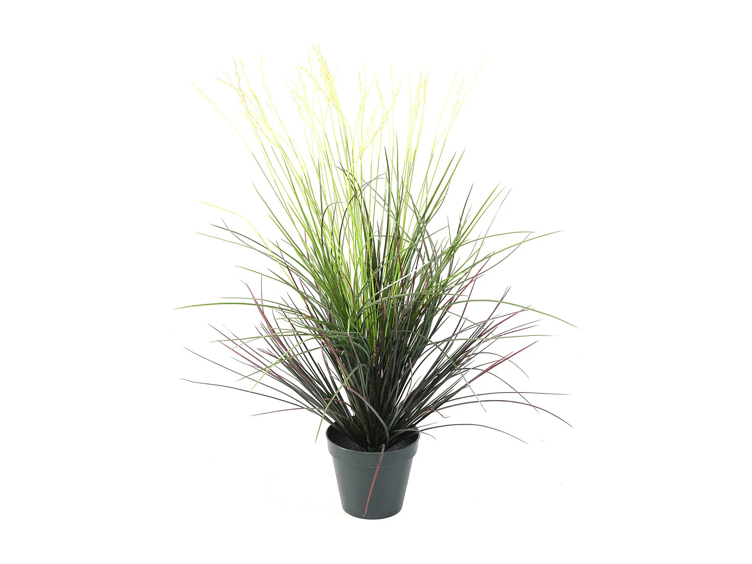 Plante artificielle haute gamme Spécial extérieur / Graminee artificielle - Dim : 80 x 50 cm