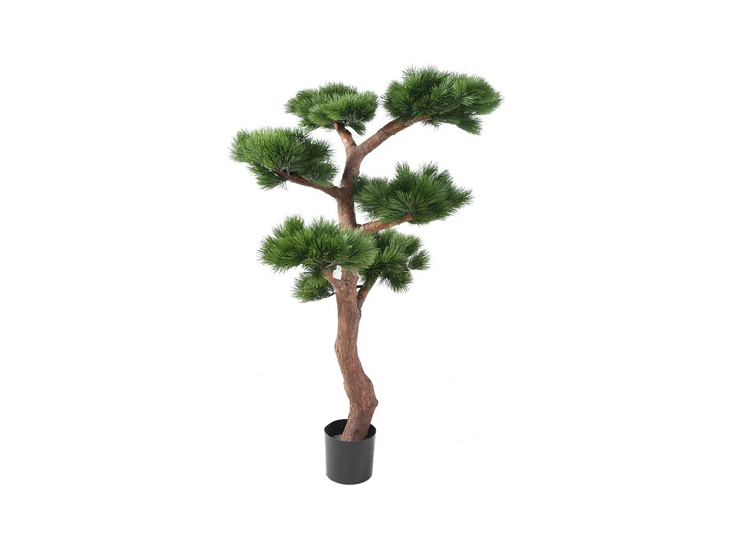 Plante artificielle haute gamme Spécial extérieur / PIN artificiel BONSAI UV - Dim : 150 x 90 cm