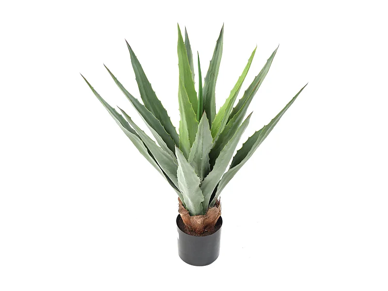 Plante artificielle haute gamme Spécial extérieur / FURCRAEA Artificiel - Dim : 80 x 60 cm