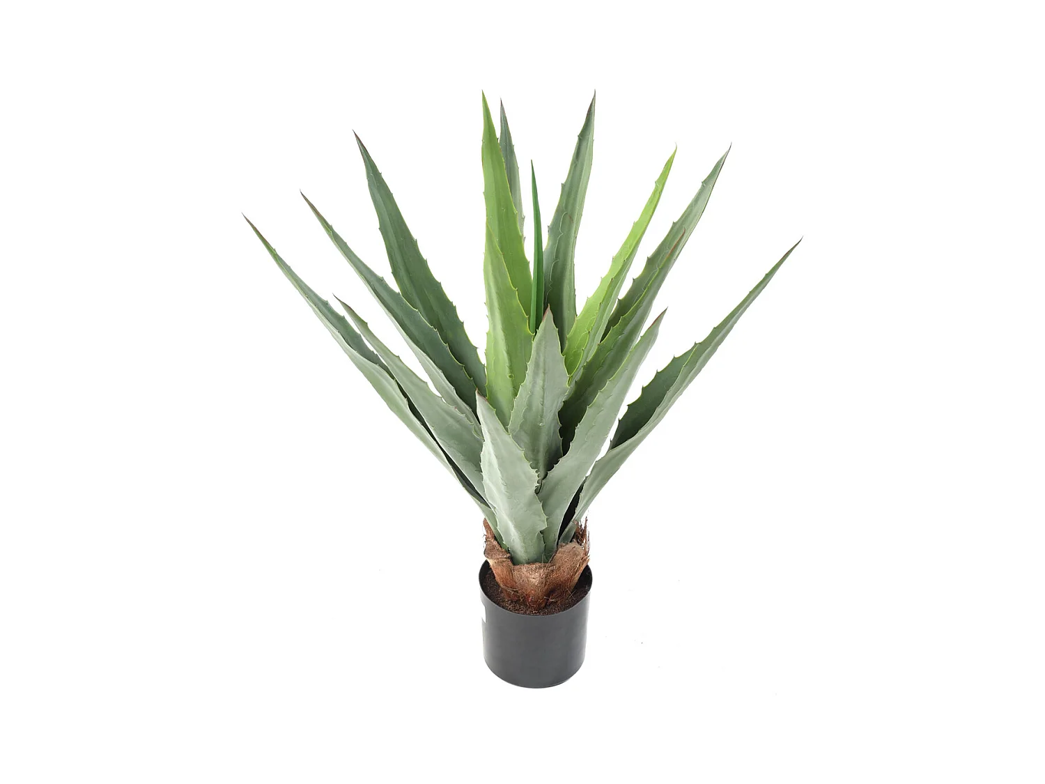 Plante artificielle haute gamme Spécial extérieur / FURCRAEA Artificiel - Dim : 80 x 60 cm