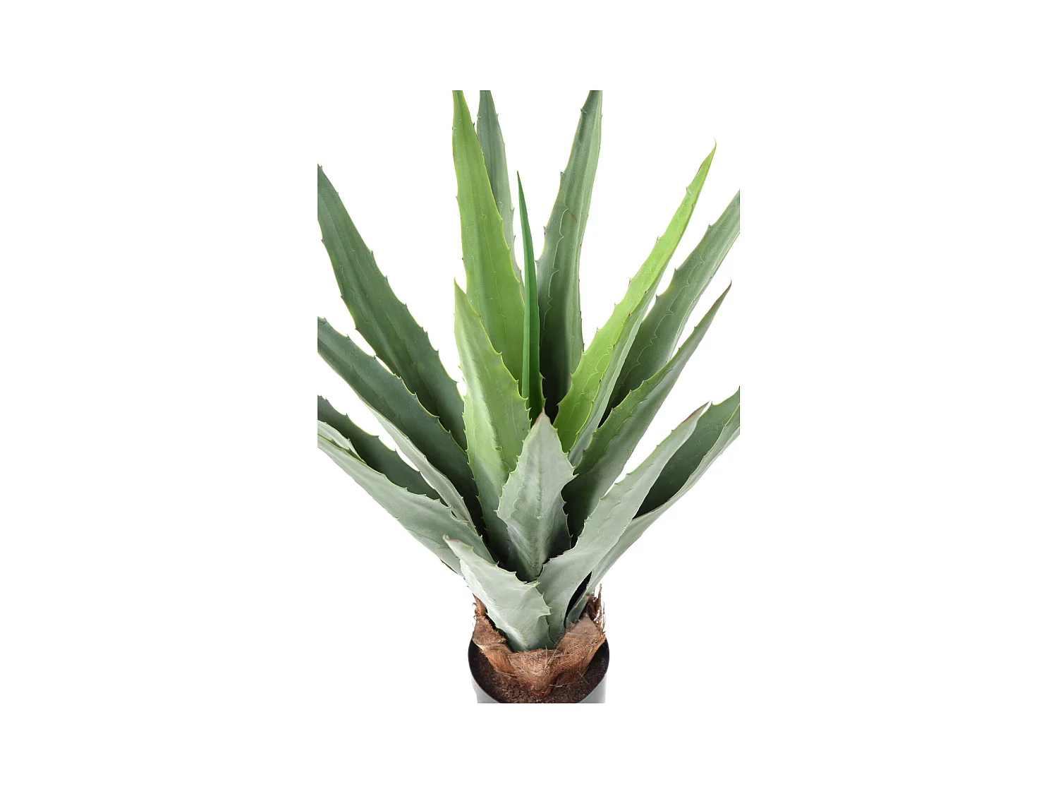 Plante artificielle haute gamme Spécial extérieur / FURCRAEA Artificiel - Dim : 80 x 60 cm