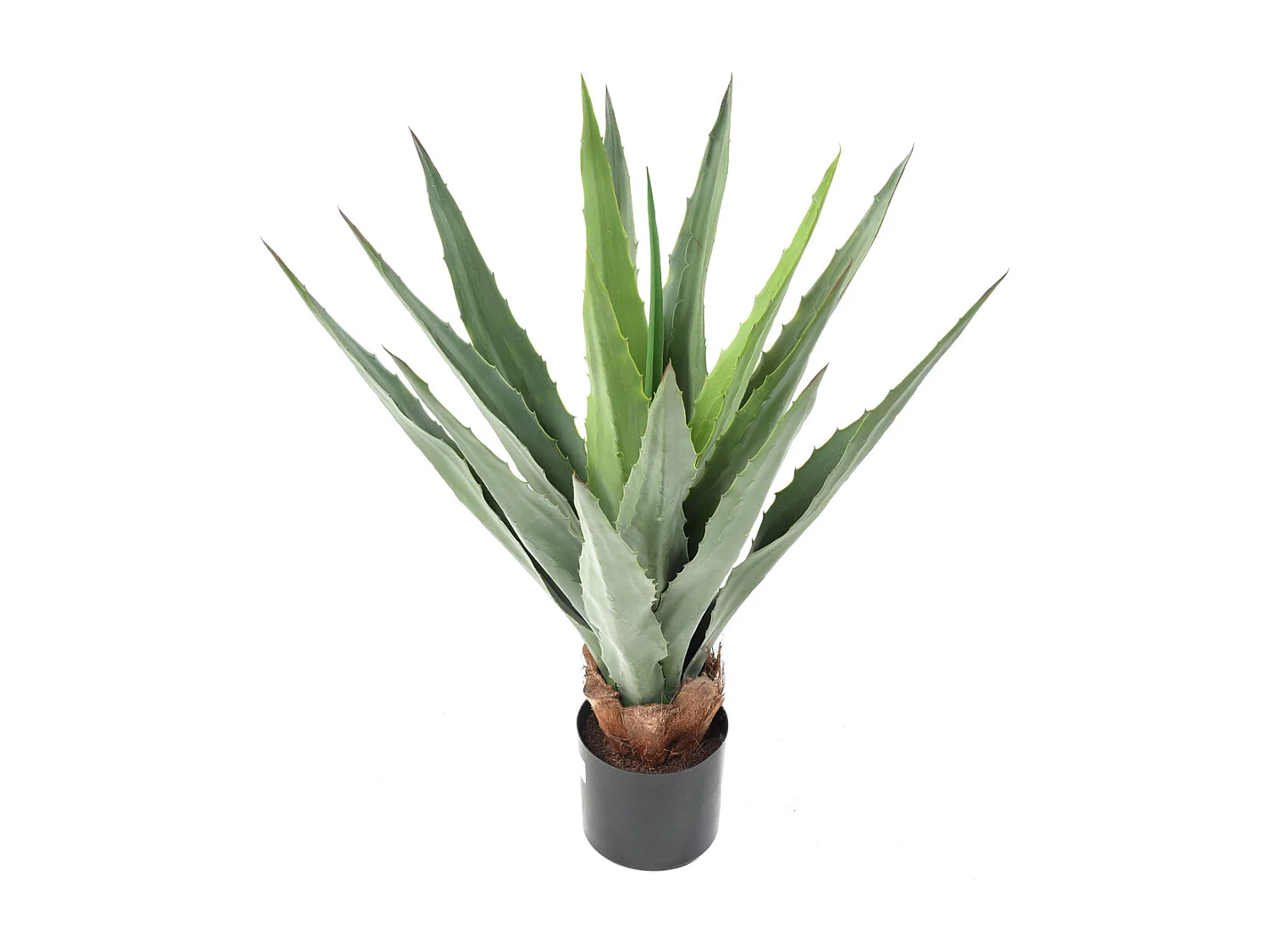 Plante artificielle haute gamme Spécial extérieur / FURCRAEA Artificiel - Dim : 80 x 60 cm