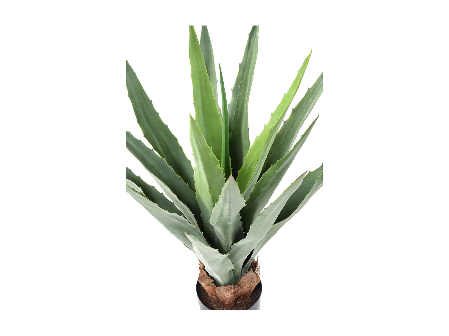 Plante artificielle haute gamme Spécial extérieur / FURCRAEA Artificiel - Dim : 80 x 60 cm