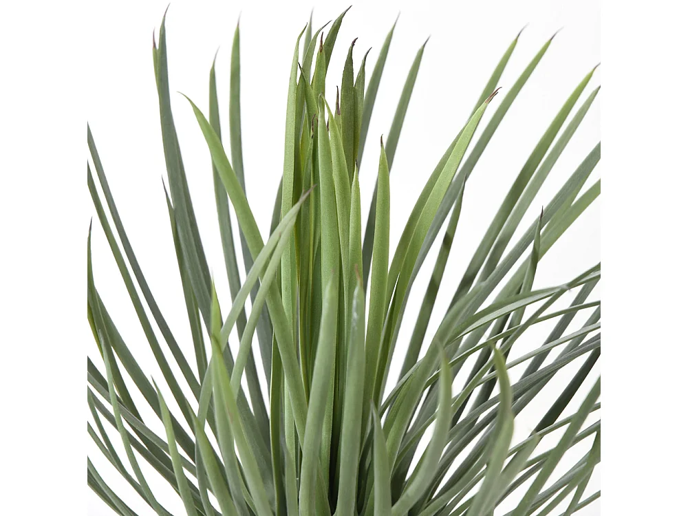 Plante artificielle haute gamme Spécial extérieur / YUCCA Artificiel - Dim : 40 x 30 cm