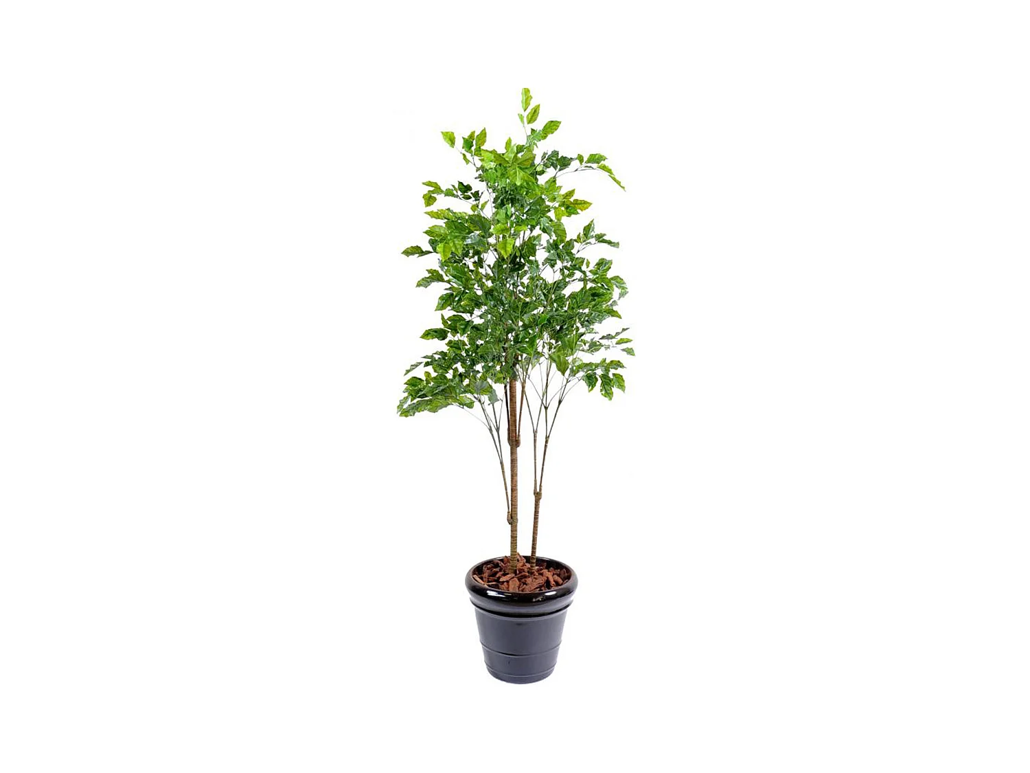 Plante artificielle haute gamme Spécial extérieur / Palissandre artificielle vert - Dim : 175 x 105 cm