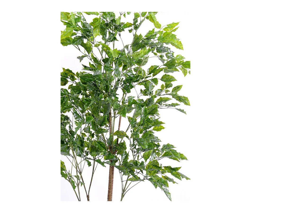 Plante artificielle haute gamme Spécial extérieur / Palissandre artificielle vert - Dim : 175 x 105 cm