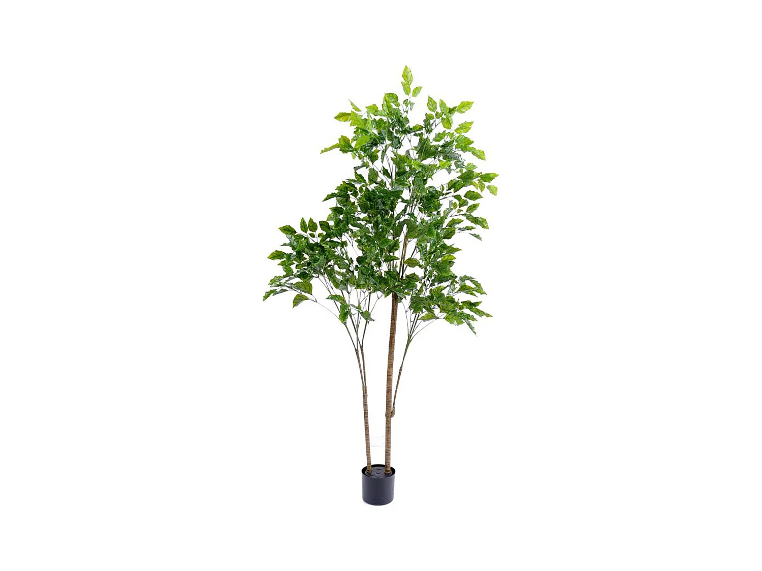 Plante artificielle haute gamme Spécial extérieur / Palissandre artificielle vert - Dim : 175 x 105 cm