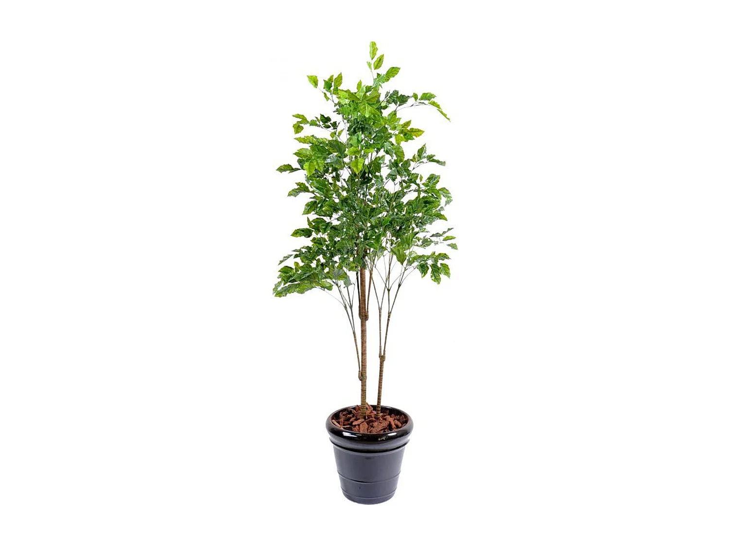 Plante artificielle haute gamme Spécial extérieur / Palissandre artificielle vert - Dim : 175 x 105 cm