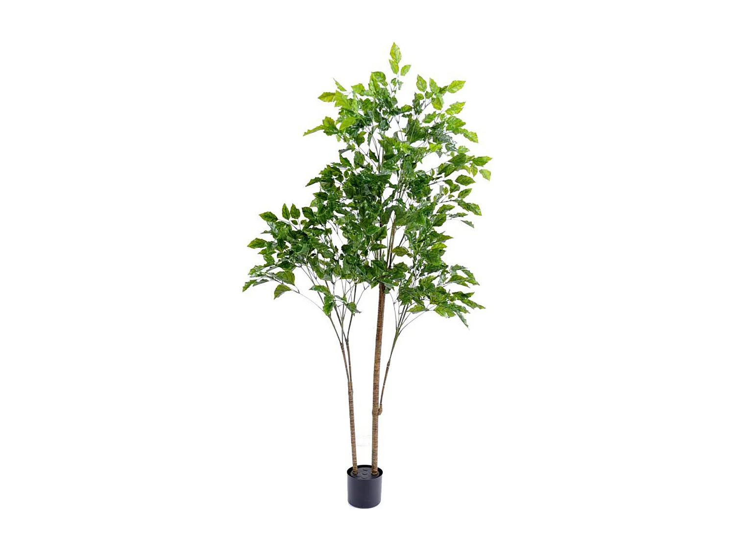 Plante artificielle haute gamme Spécial extérieur / Palissandre artificielle vert - Dim : 175 x 105 cm