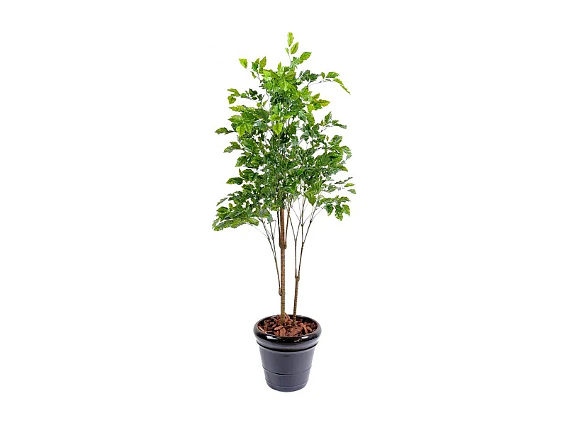 Plante artificielle haute gamme Spécial extérieur / Palissandre artificielle vert - Dim : 175 x 105 cm