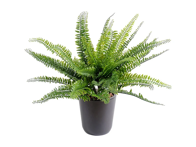 Plante artificielle haute gamme Spécial extérieur / Fougere artificielle - Dim : 40 x 55 cm