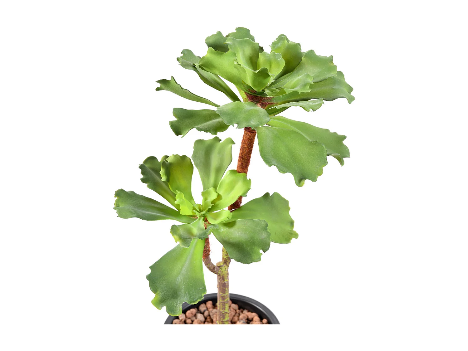 Plante artificielle haute gamme Spécial extérieur / SUCCULENT artificielle - Dim : 50 x 25 cm