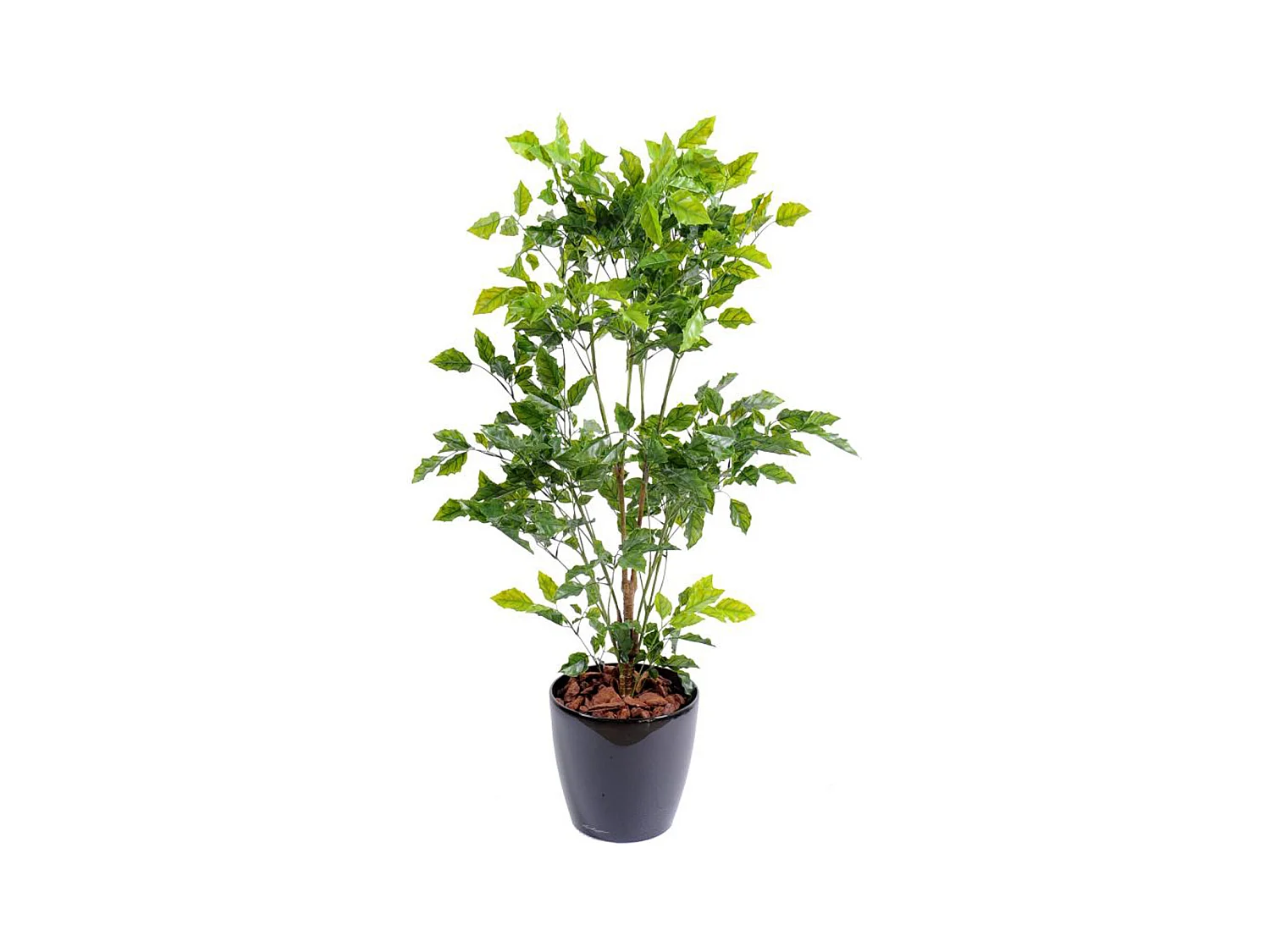 Plante artificielle haute gamme Spécial extérieur / Palissandre artificielle vert - Dim : 120 x 60 cm