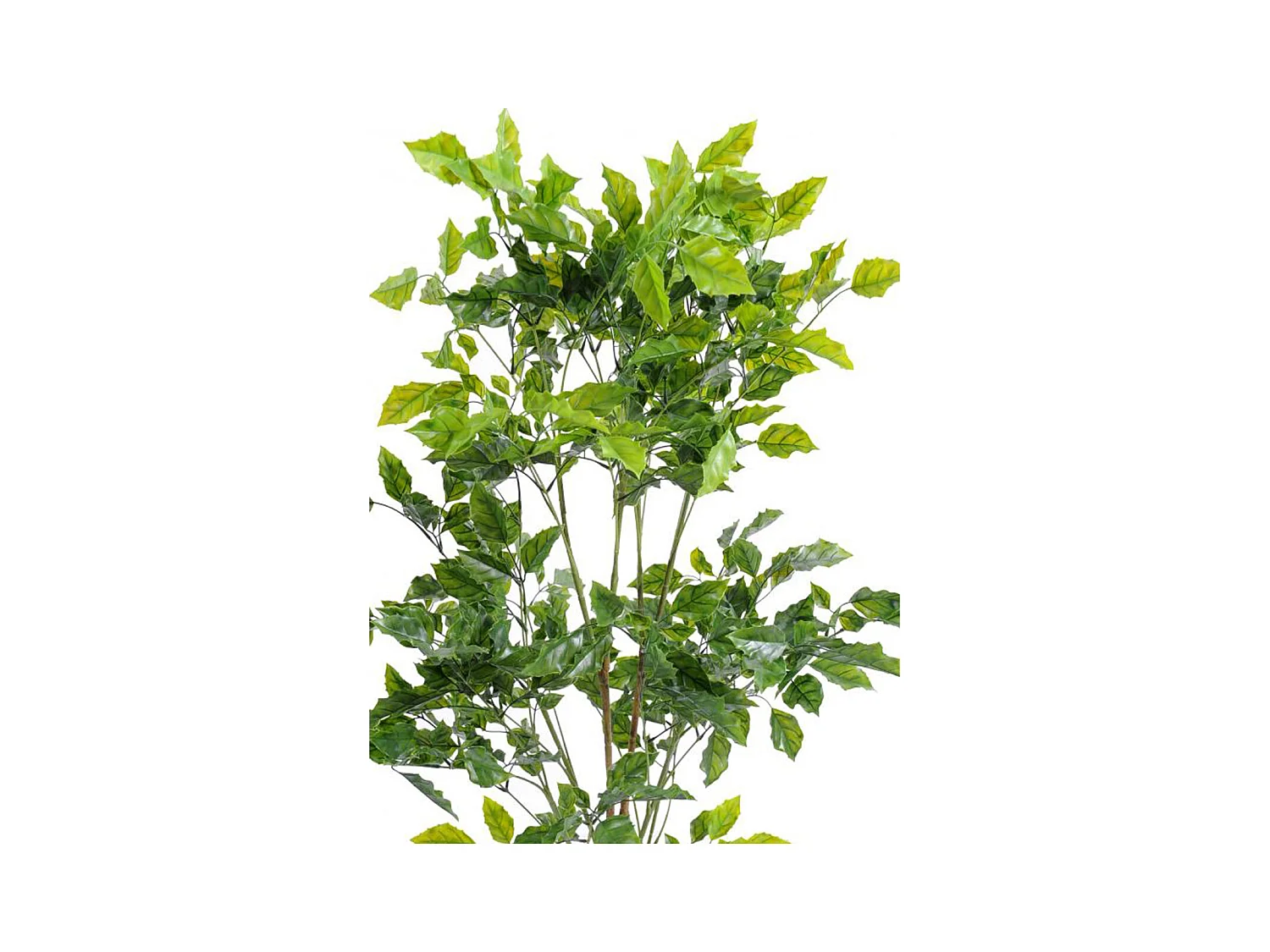 Plante artificielle haute gamme Spécial extérieur / Palissandre artificielle vert - Dim : 120 x 60 cm
