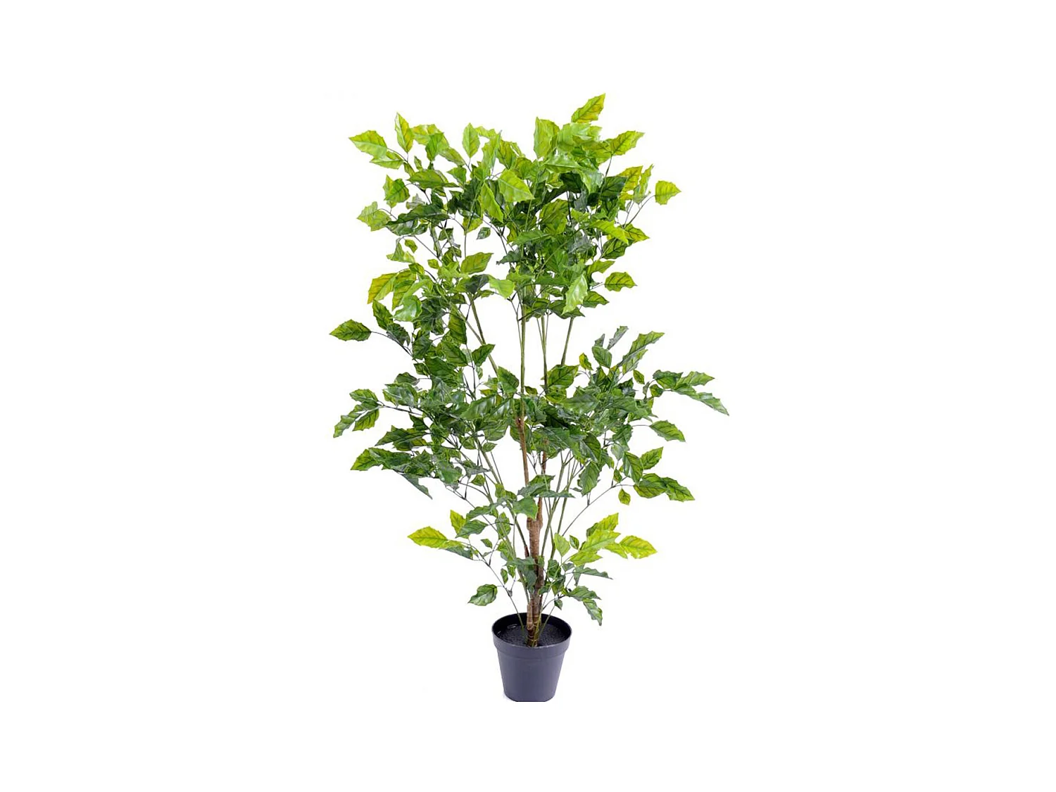 Plante artificielle haute gamme Spécial extérieur / Palissandre artificielle vert - Dim : 120 x 60 cm