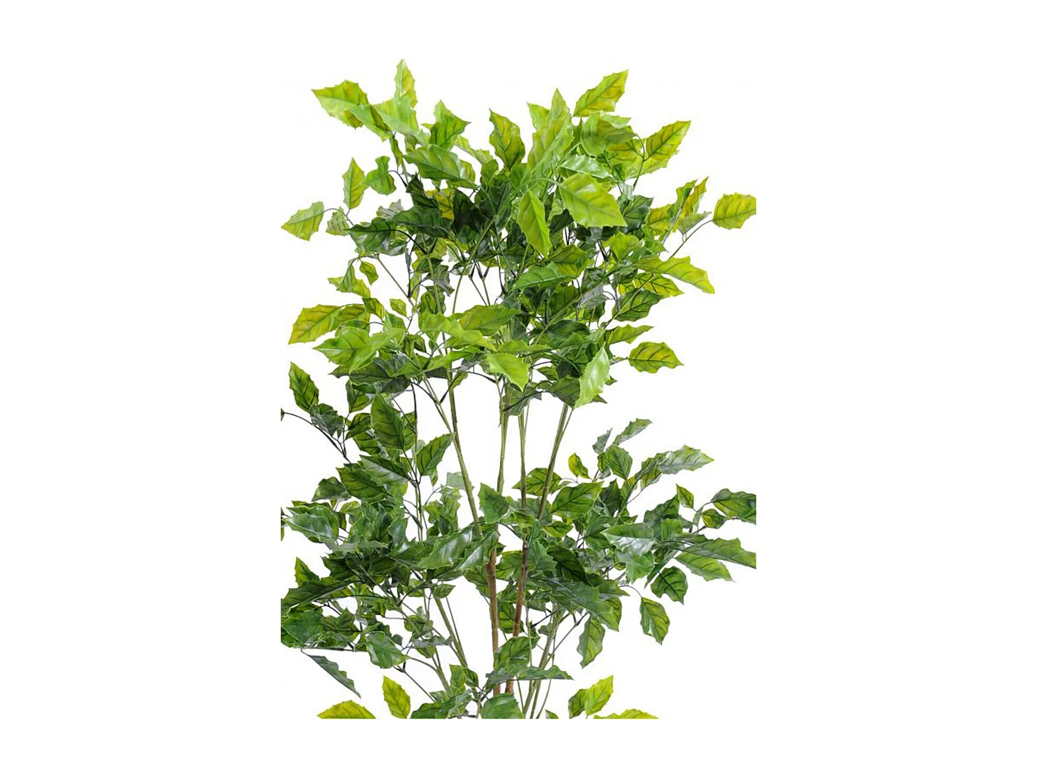 Plante artificielle haute gamme Spécial extérieur / Palissandre artificielle vert - Dim : 120 x 60 cm