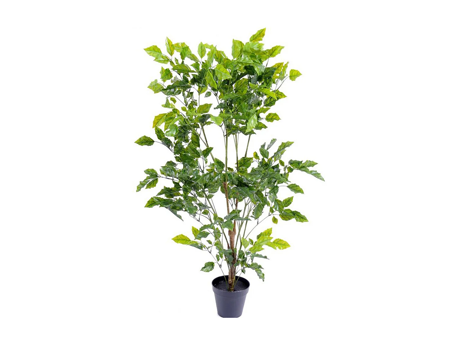 Plante artificielle haute gamme Spécial extérieur / Palissandre artificielle vert - Dim : 120 x 60 cm