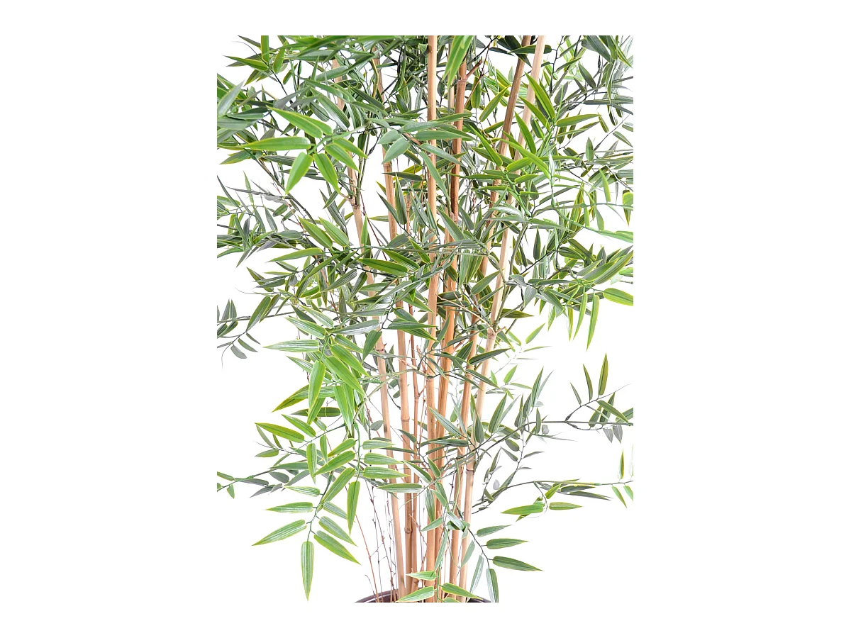 Plante artificielle haute gamme Spécial extérieur en Bambou artificiel, couleur verte - Dim : 90 x 60 cm
