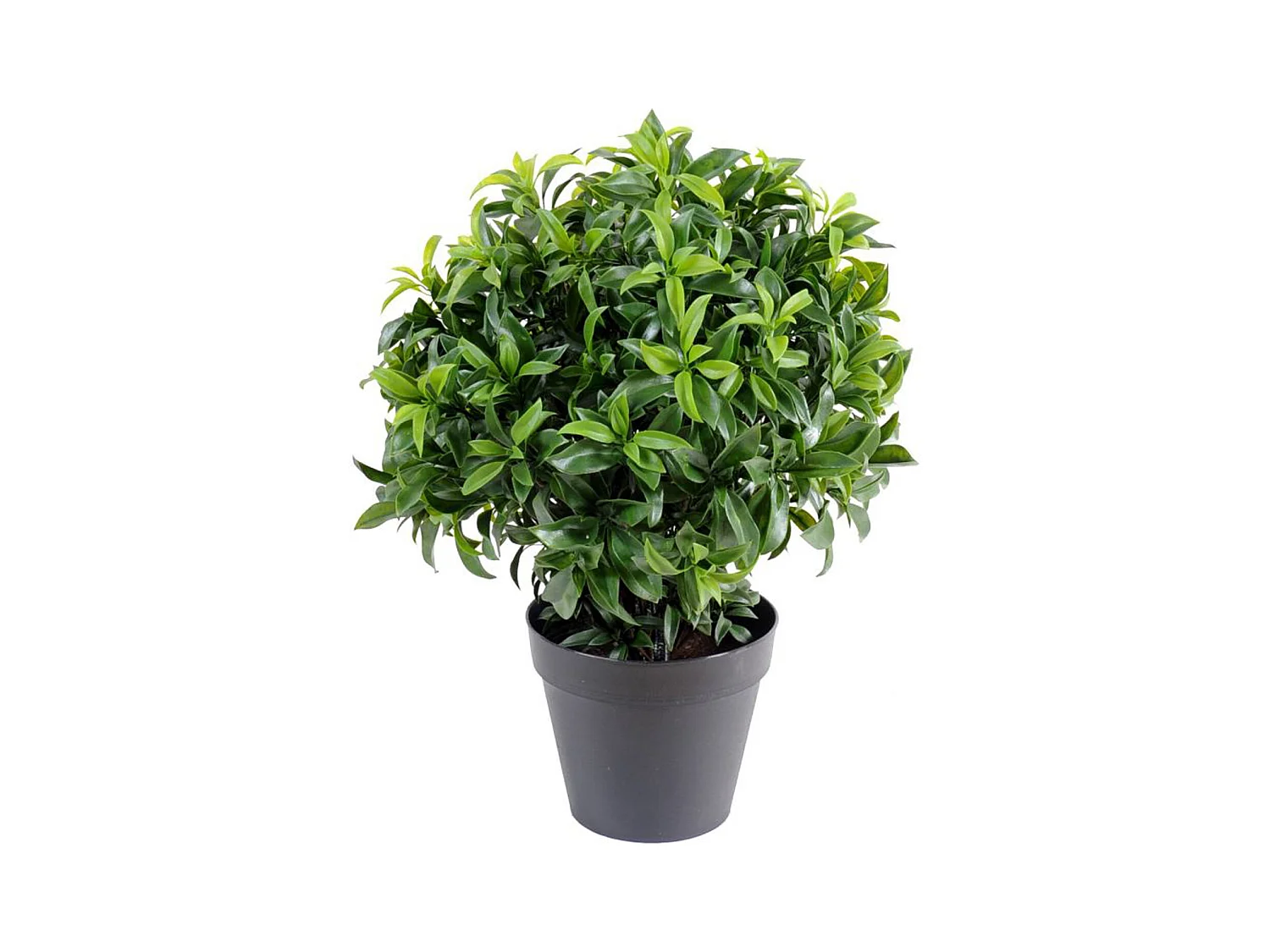 Plante Artificielle / Laurier artificiel Buisson - Dim : 55 x 46 cm