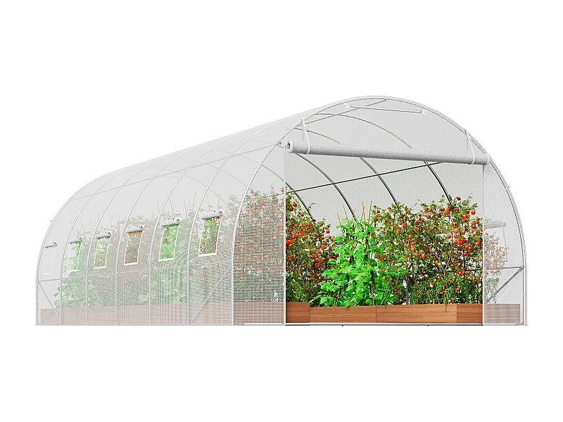 Folientunnel SucceBuy 5,8 x 2,8 x 2,0 m, Verzinkter Rahmen, PE-Beschichtung, Weiß