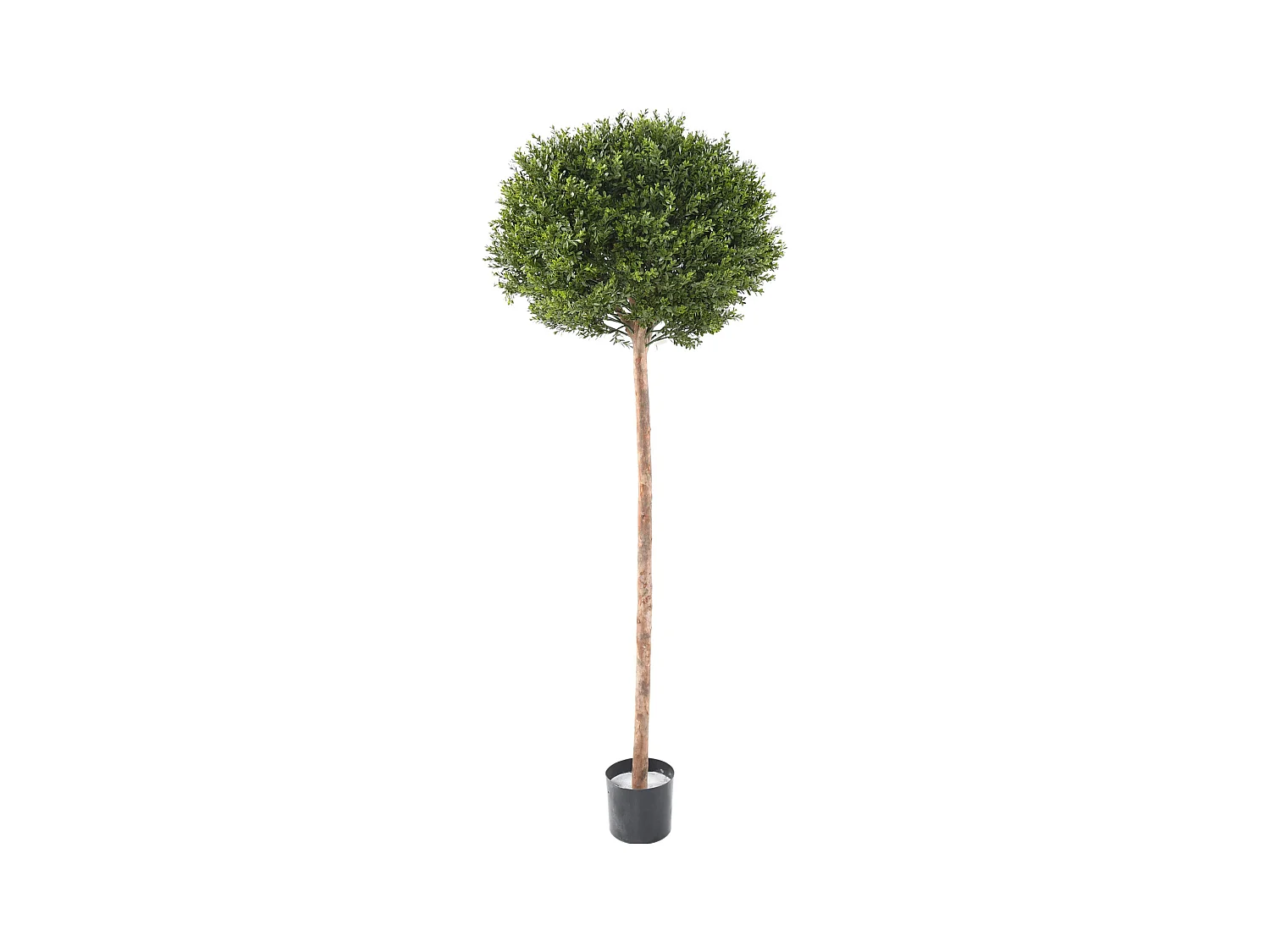 Plante artificielle haute gamme Spécial extérieur / Buis Artificiel coloris vert - Dim : 170 x 62 x 62 cm