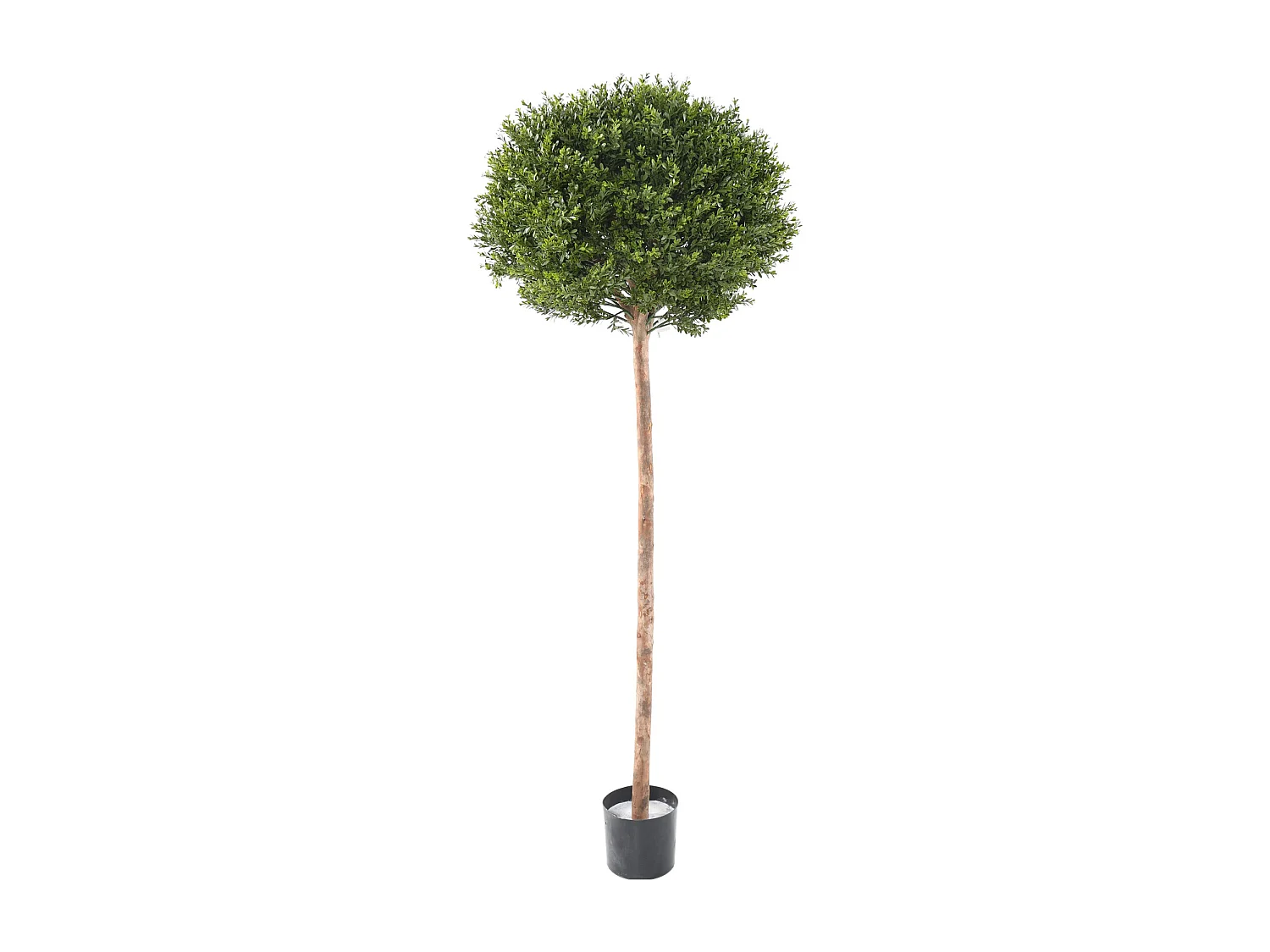 Plante artificielle haute gamme Spécial extérieur / Buis Artificiel coloris vert - Dim : 170 x 62 x 62 cm