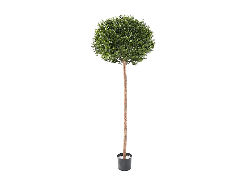 Plante artificielle haute gamme Spécial extérieur / Buis Artificiel coloris vert - Dim : 170 x 62 x 62 cm