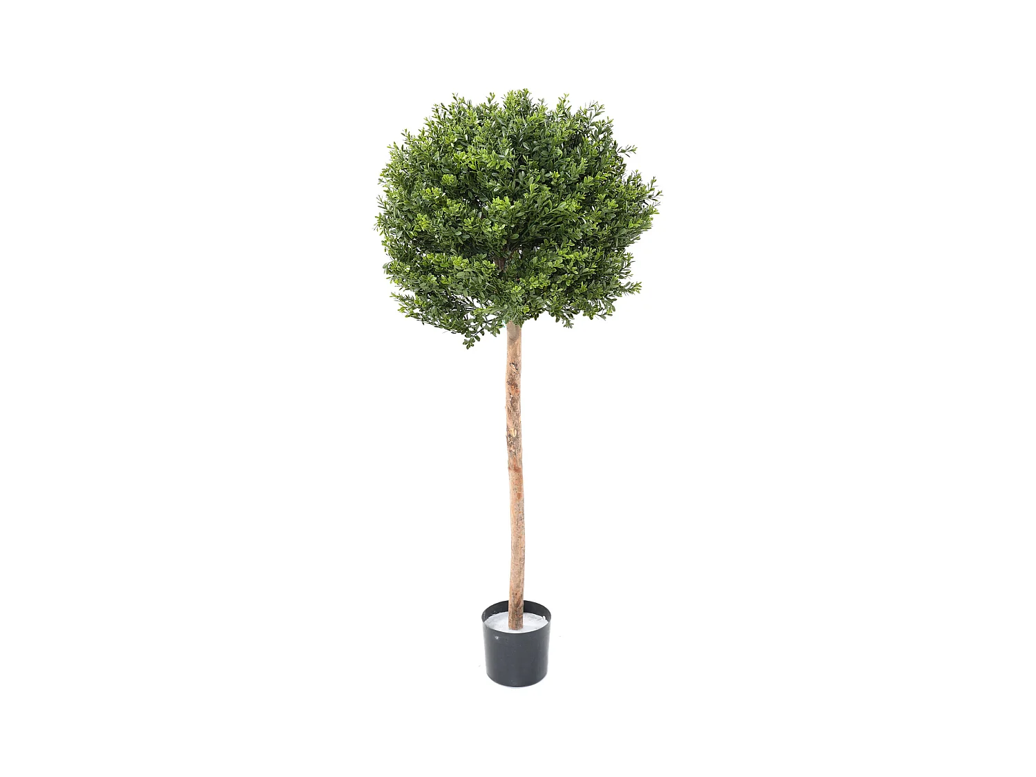 Plante artificielle haute gamme Spécial extérieur / Buis Artificiel coloris vert - Dim : 110 x 50 x 50 cm